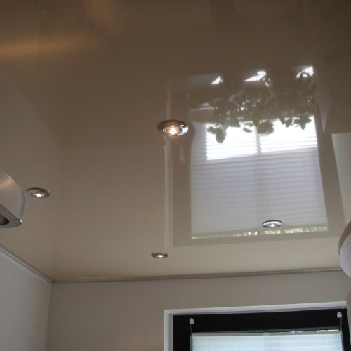 schubert schönbrunn bl (3)